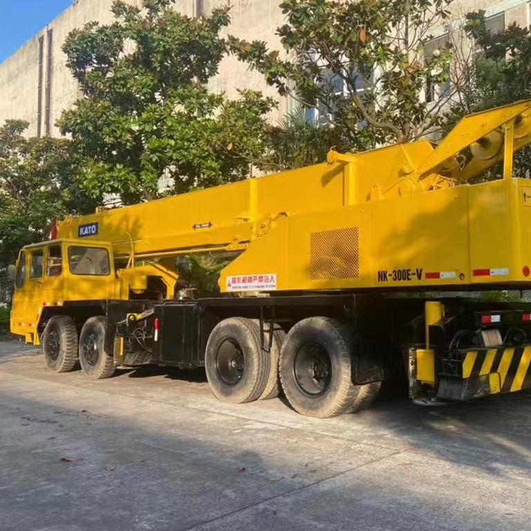 30 TON max. Cran de chargement utilisé pour camions NK250E-V NK300E-V pour travaux lourds